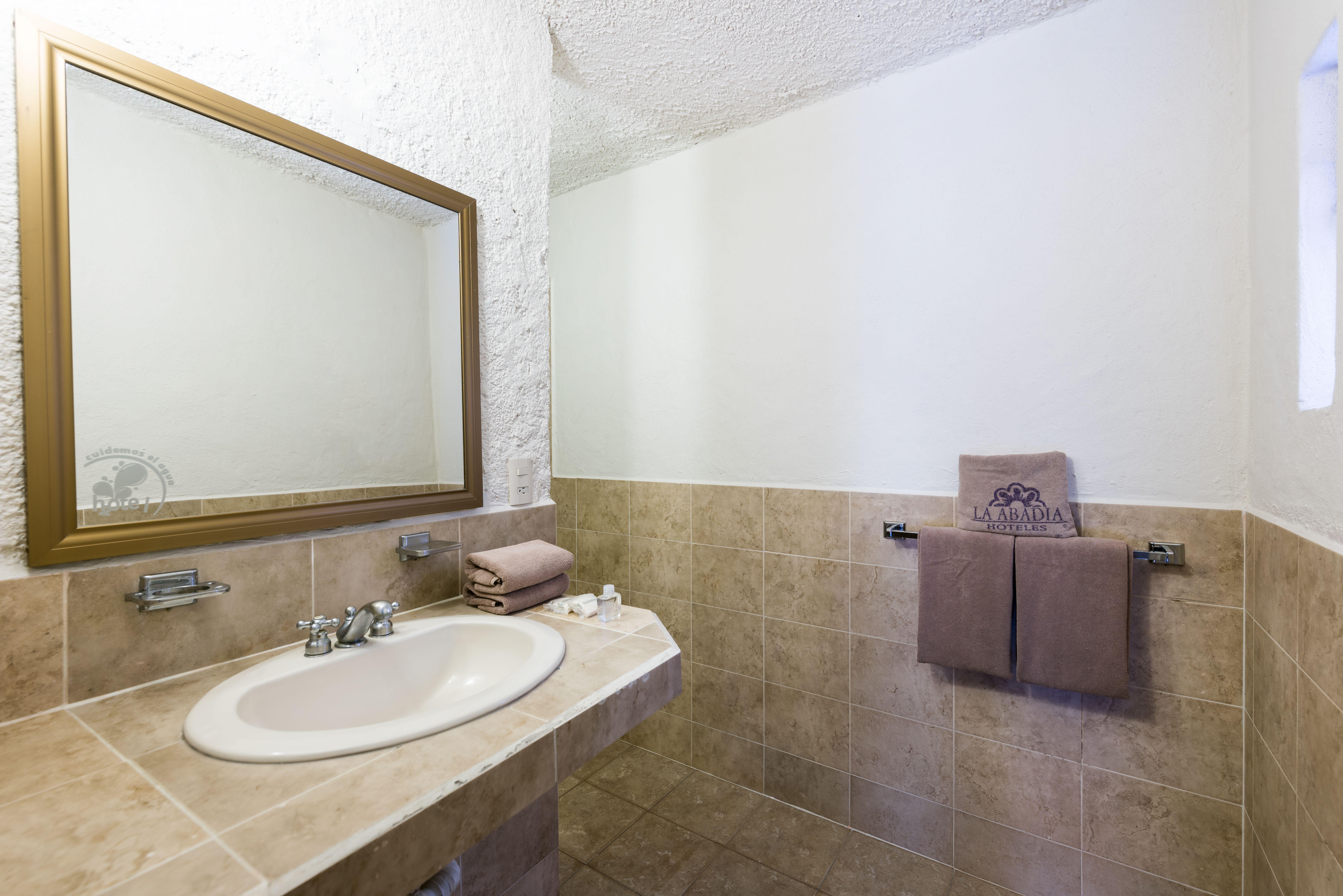 Hotel Abadia Plaza グアナファト エクステリア 写真